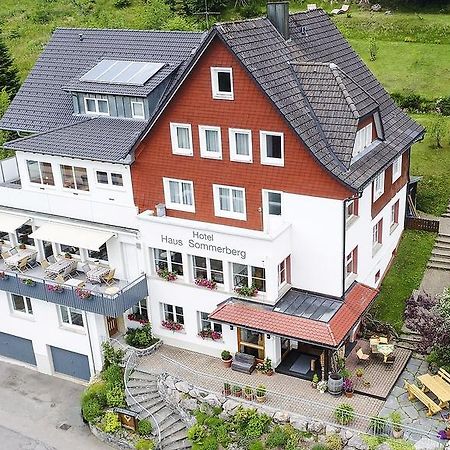 Haus Sommerberg Фельдберг Экстерьер фото