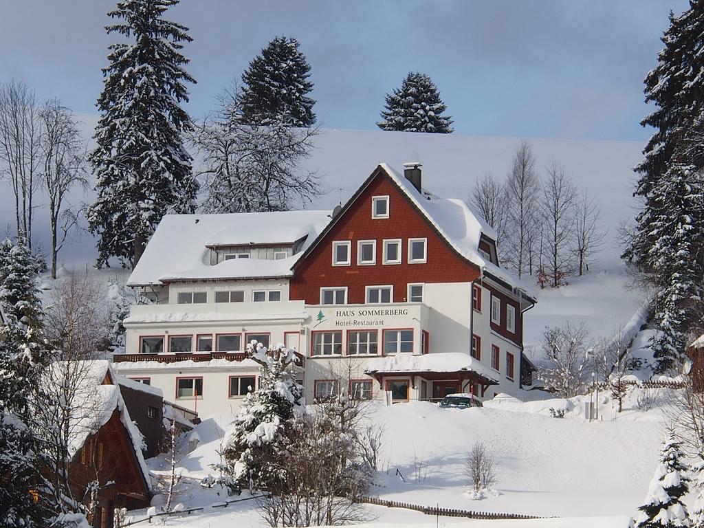 Haus Sommerberg Фельдберг Экстерьер фото